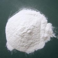 乳糖酶價格   乳糖酶廠家