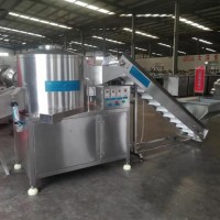 大洋牌刀削式果蔬去皮機 經(jīng)濟實惠的全自動果蔬削皮機