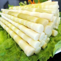 廠家直銷竹筍烘干機包安裝