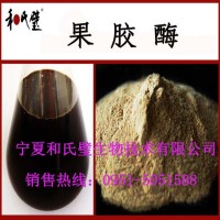果膠酶供應3萬活力果汁澄清用生物酶