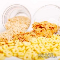 TSE玉米片生產(chǎn)設(shè)備