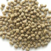 膨化浮水魚飼料生產線