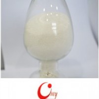 沒食子酸辛酯