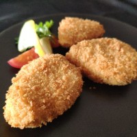 素雞肉植物肉配料  ALMI品質