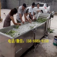 大型凈菜生產線,毛豆氣泡清洗機