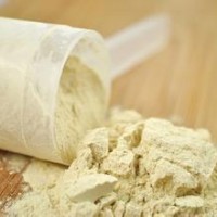 優質食品級蛋白 粉 蛋白 粉生產廠家