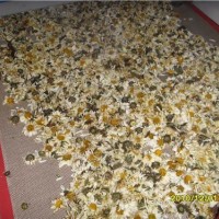 菊花、玫瑰花茶葉等殺青烘干機 農(nóng)產(chǎn)品應用  濟南希朗機械供應