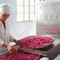 玫瑰花茶葉等殺青烘干機 農(nóng)產(chǎn)品應用  濟南希朗機械供應