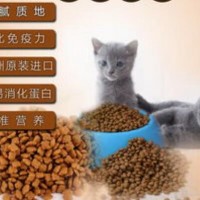 生產(chǎn)貓糧設備