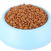 生產(chǎn)貓糧機械