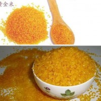 生產(chǎn)營養(yǎng)速食黃金米機械
