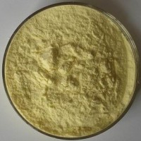 現貨供應菠蘿蛋白酶 批發