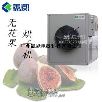 無花果烘干機_無花果烘干機工藝 - 金凱