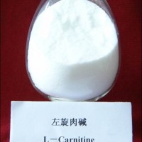 供應L-左旋肉堿 優質食品級L-左旋肉堿