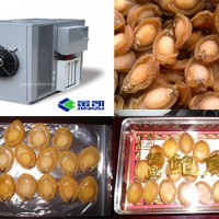 廠家直銷鮑魚烘干機 鮑魚干燥設備