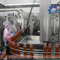 全自動果汁飲料生產(chǎn)線 瓶裝果蔬汁飲料加工設(shè)備