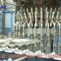 純凈水生產(chǎn)線 純凈水生產(chǎn)設備 灌裝機