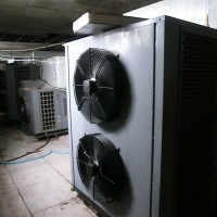 供應廠家直銷金凱牌粉絲烘干機
