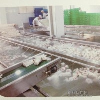 大型食品冷卻設(shè)備-水冷式食品冷卻線