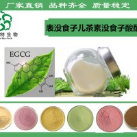 表沒食子兒茶素沒食子酸酯 EGCG90%