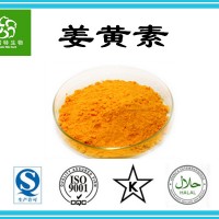 姜黃素95%98% 姜黃濃縮粉 工廠現貨直銷 姜黃提取物