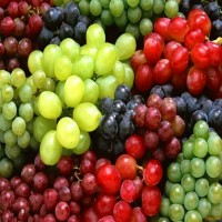 秋之潤供應(yīng)食品級葡萄香精