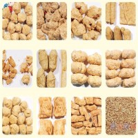 廠家技術(shù)支持組織蛋白 素肉蛋白 拉絲蛋白食品設(shè)備生產(chǎn)線