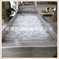 自動枇杷清洗機|水果氣泡清洗機|廠家直銷