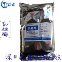 現貨供應乳糖酶 食品級 酶制劑 品質保障 乳糖酶 量大優惠