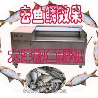 大洋牌脫魚(yú)鱗機(jī) 產(chǎn)量高不傷魚(yú)體