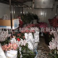 鮮花保鮮庫 鮮花冷藏庫