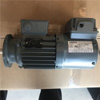 德國VEM電機IE2-WE1R