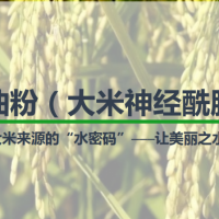 供應米糠油粉（ 3%的大米神經酰胺 ）