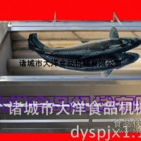 大洋牌脫魚(yú)鱗機(jī)，專(zhuān)業(yè)的去魚(yú)鱗設(shè)備