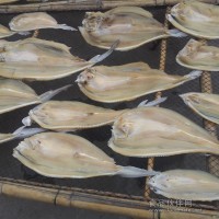 河豚烘干機 各種河鮮海鮮烘干機