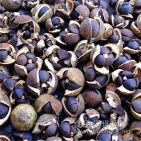 油茶籽烘干機 廂式烤房模式烘干