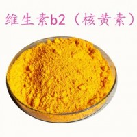 食品級(jí)維生素B2維生素市場(chǎng)價(jià)格報(bào)價(jià)生產(chǎn)廠家