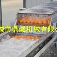 果汁飲料果蔬前處理設(shè)備廠家