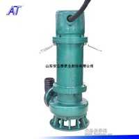 安泰水泵廠專業生產防爆不銹鋼潛水泵