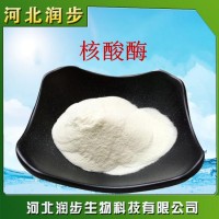 核酸酶在食品加工中的應用