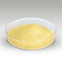 食品級菠蘿蛋白酶酶制劑廠家直銷現(xiàn)貨供應(yīng)批發(fā)價格