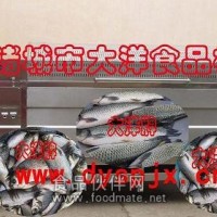 大洋牌脫魚(yú)鱗機(jī) 專(zhuān)業(yè)的去魚(yú)鱗機(jī)械