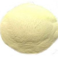 食品級(jí)乳糖酶酶制劑廠家直銷現(xiàn)貨供應(yīng)批發(fā)價(jià)格