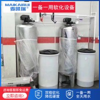 大型工業軟水器一備一用交替連續再生雙級軟化水處理設備鍋爐工廠