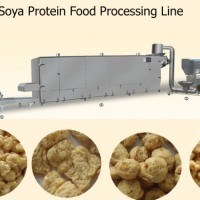 拉絲蛋白設備大豆蛋白生產線