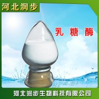 乳糖酶在食品加工中的應(yīng)用
