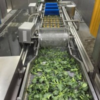 全自動氣泡清洗機  小龍蝦全自動清洗設備 葉菜類清洗機
