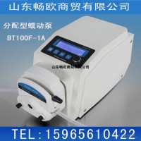 恒流泵智能可調速蠕動泵BT100F-1A