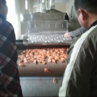 濟南對蝦微波烘烤設備的廠家介紹