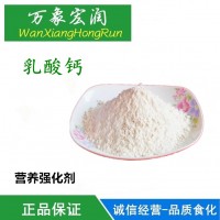 生產廠家 食品級乳酸鈣廠家直銷價格 批發價格 高含量供應商